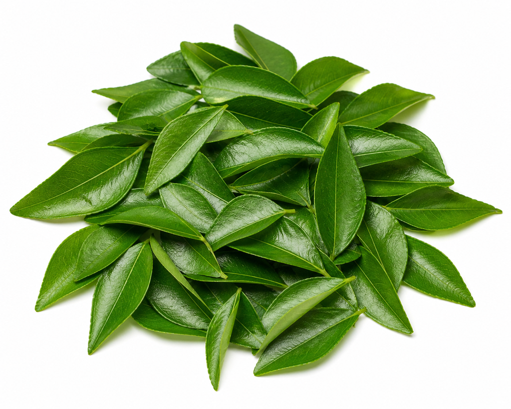 Vent Dior Fresh Curry Leaves (Kari Patta) Aromatic Indian Herb