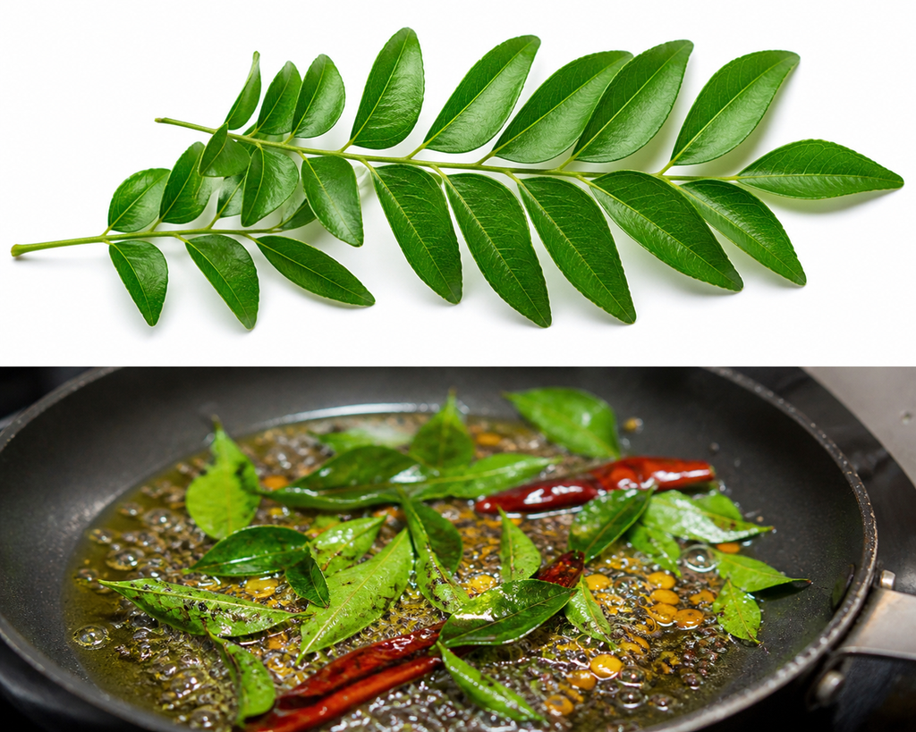 Vent Dior Fresh Curry Leaves (Kari Patta) Aromatic Indian Herb